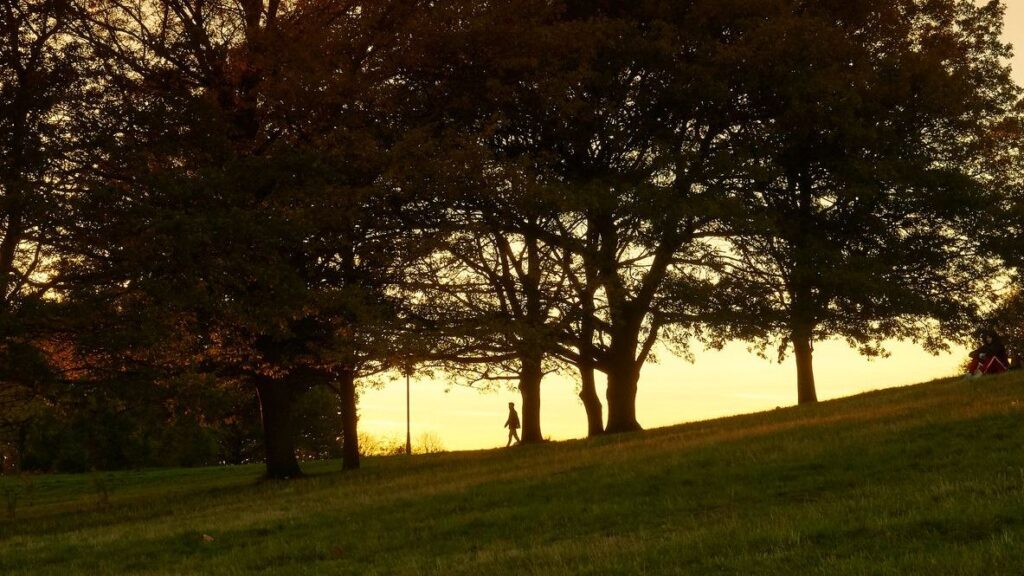 Primrose-Hill-sunset.jpg