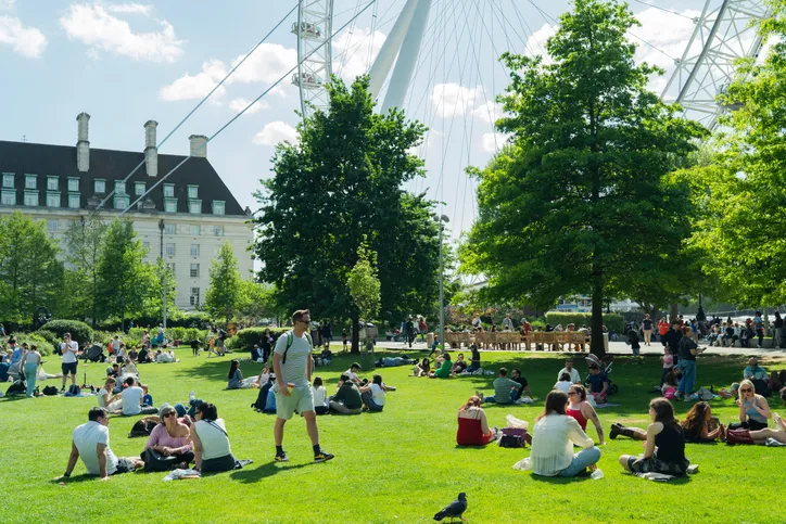 South Bank garden