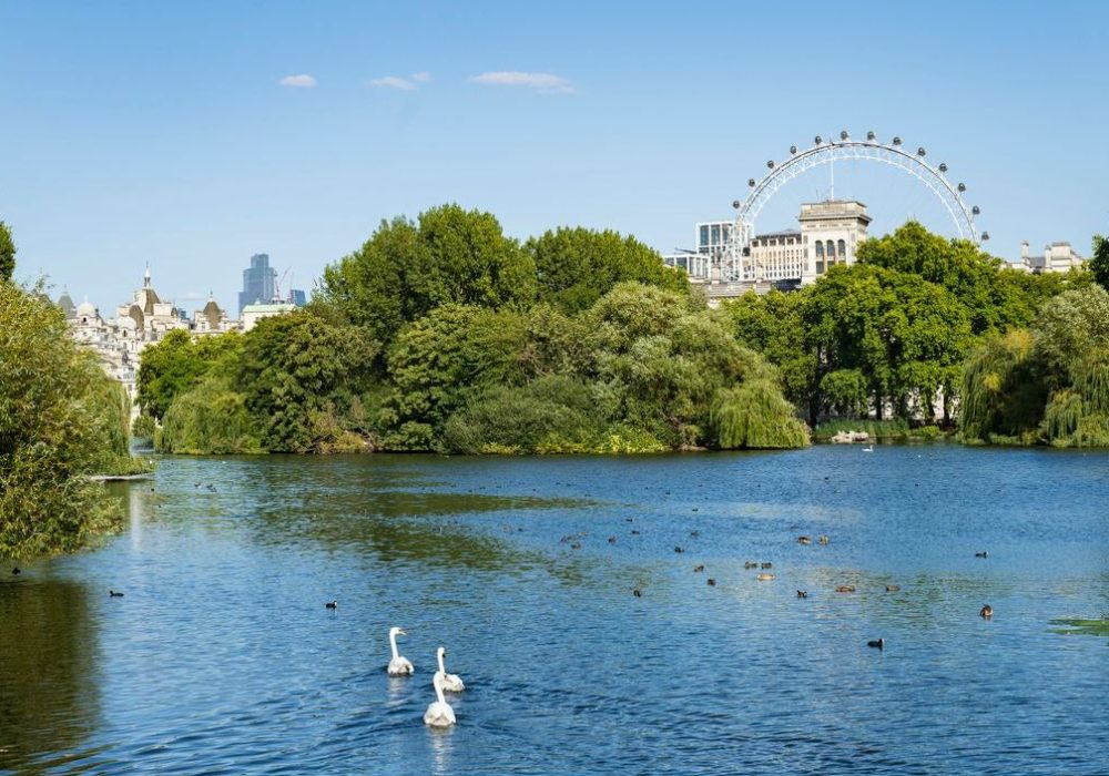Easterly view from Blue Bridge across the lake with water fowl, summertime lush foliage, partial view of Millennium Wheel, and city skyline in background.