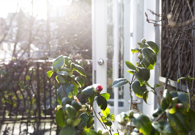 Apartment in London - The Park Lane Penthouse Apartment in London - The Park Lane Penthouse