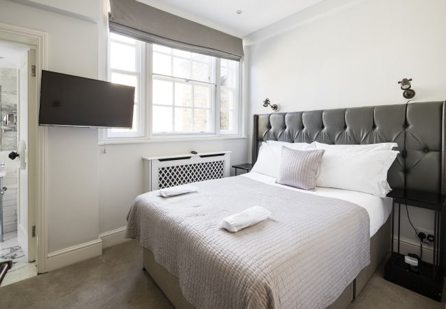 Apartment in London - The Park Lane Penthouse Apartment in London - The Park Lane Penthouse