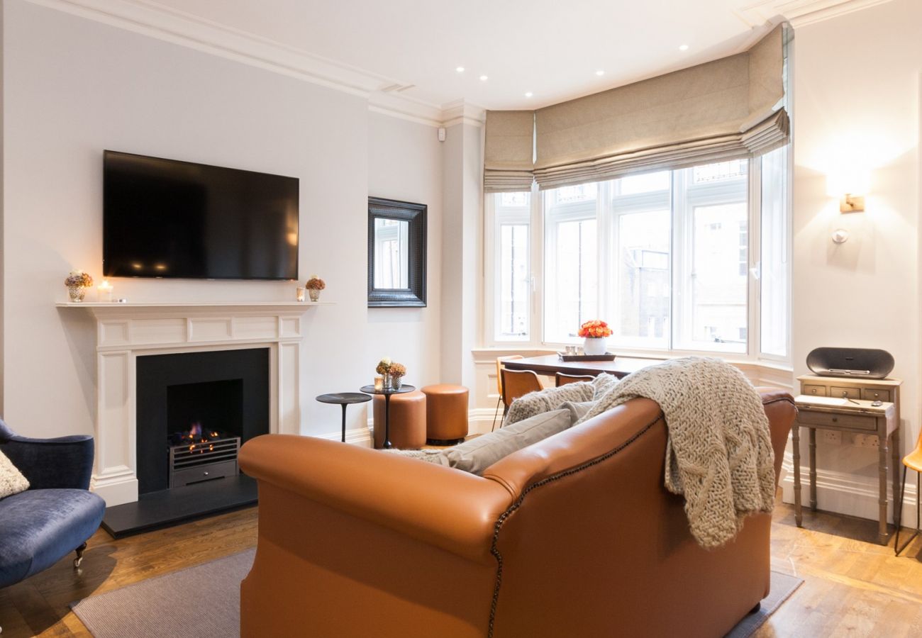 Luxury One Bedroom Suite Central London Luxury One Bedroom Suite Central London